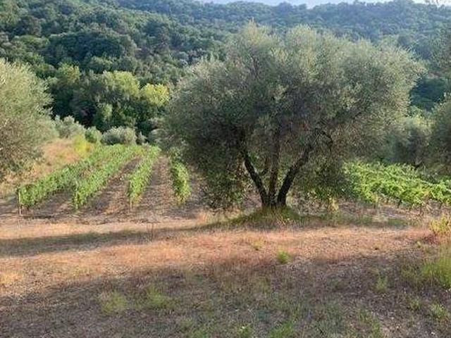 Terreno in vendita a Unione dei Comuni Montani Amiata Grossetana, Seggiano