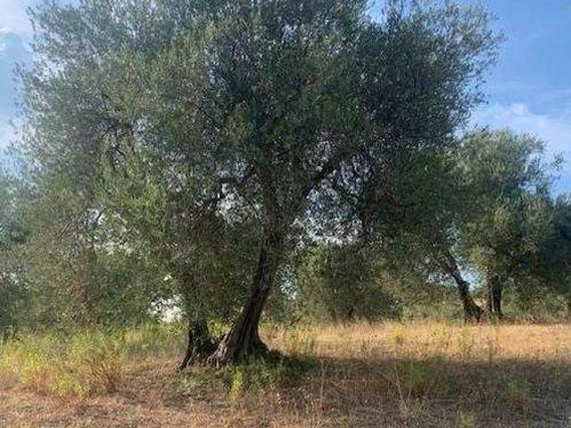Terreno in vendita a Unione dei Comuni Montani Amiata Grossetana, Seggiano