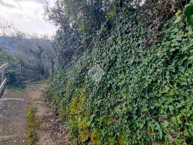 Terreno in vendita a Roma Capitale, Lazio