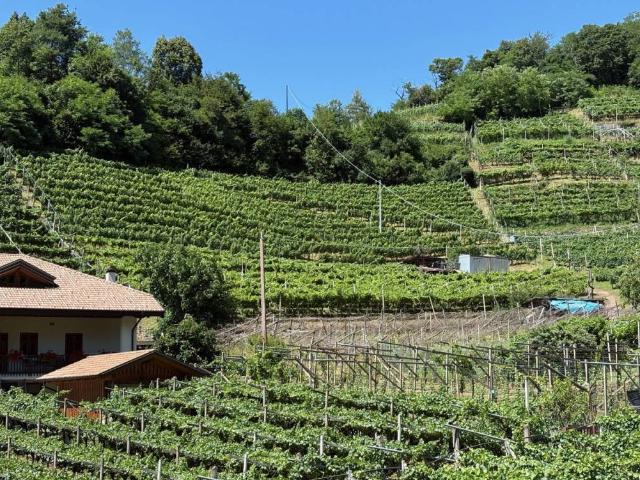 Terreno in vendita a Comunità della Valle di Cembra, Segonzano