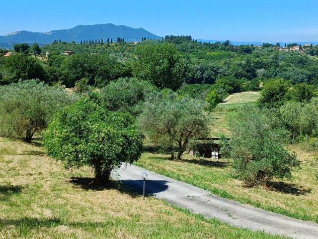 Terreno in vendita a Selci, Lazio