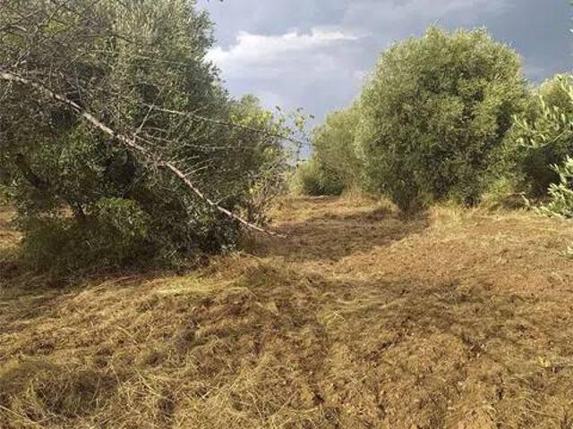 Terreno in vendita a Calabria, Catanzaro