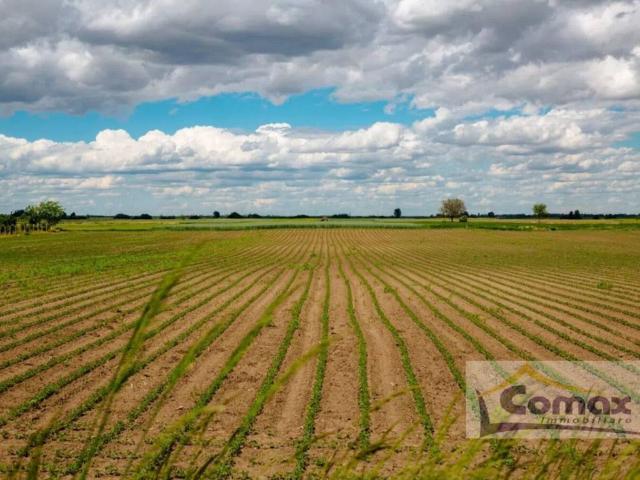 Terreno in vendita a Selvazzano Dentro, Veneto
