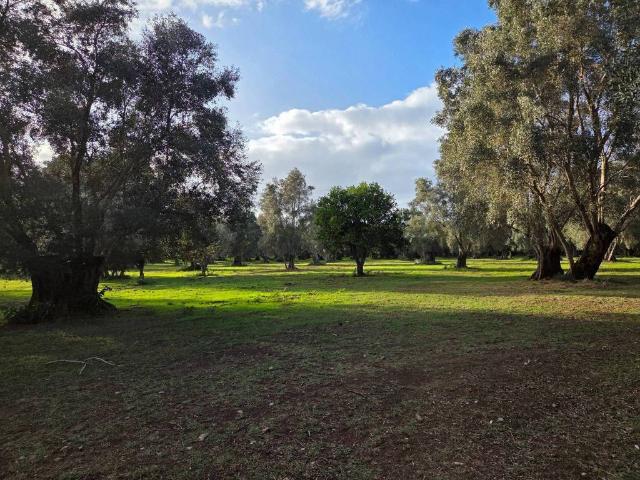 Terreno in vendita a Calabria, Reggio Calabria