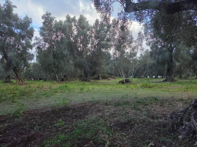 Terreno in vendita a Calabria, Reggio Calabria