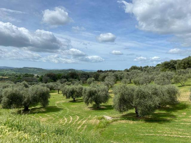 Terreno in vendita a Unione dei Comuni Montani Amiata Grossetana, Semproniano