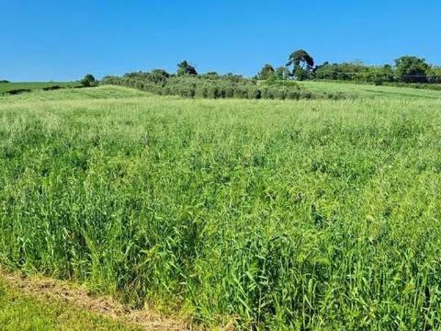 Terreno in vendita a Marche, Ancona
