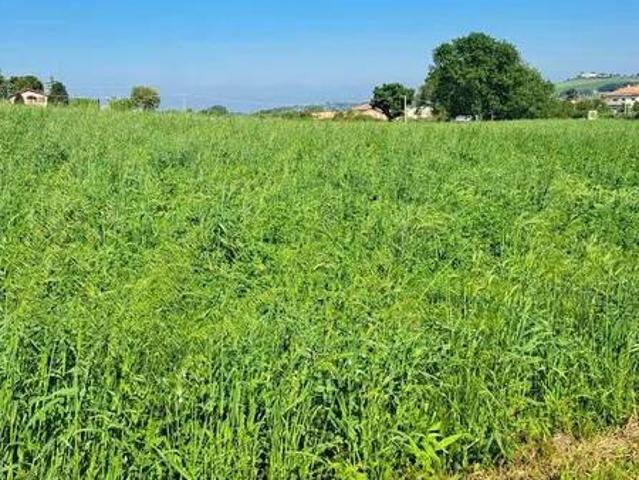 Terreno in vendita a Marche, Ancona
