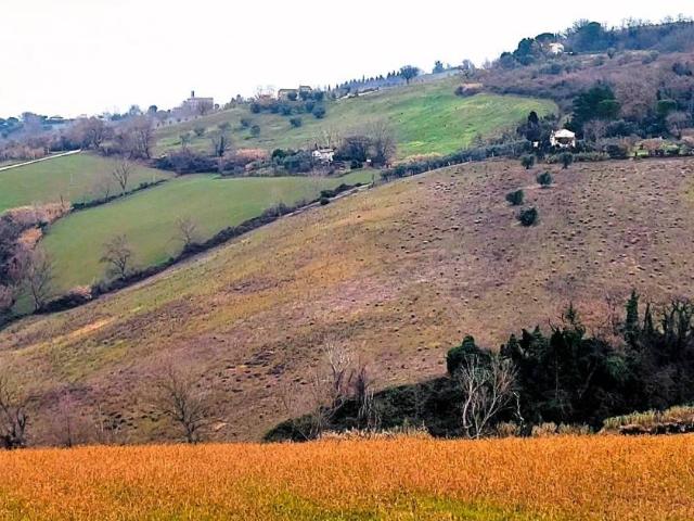Terreno in vendita a San Giovanni, Marche