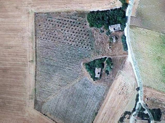 Terreno in vendita a Marche, Ancona