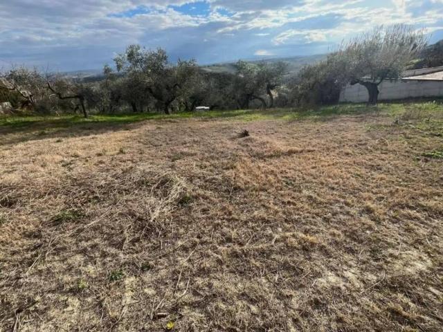 Terreno in vendita a Marche, Ancona