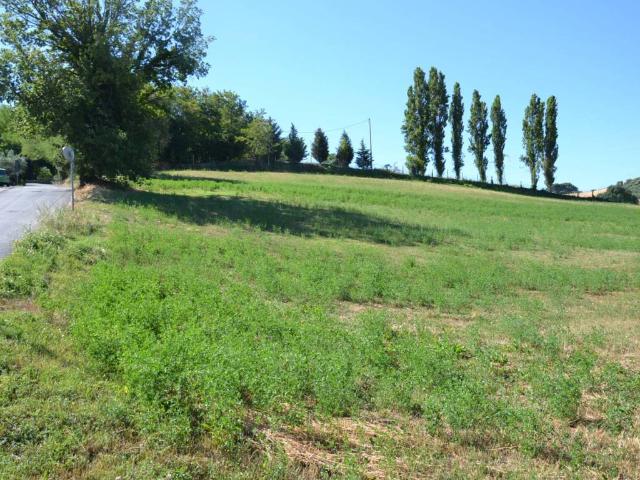 Terreno in vendita a Sant'Angelo, Marche