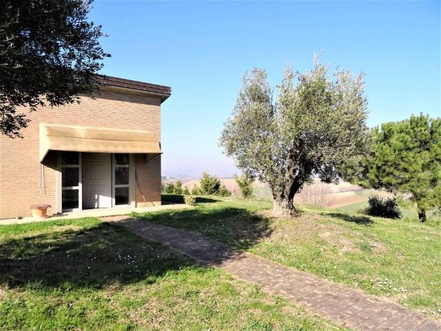 Terreno in vendita a Sant'Angelo, Marche