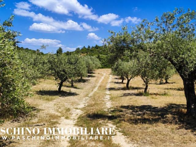 Terreno in vendita a Sennori, Sardigna/Sardegna