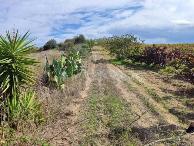 Terreno in vendita a Serdiana, Sardigna/Sardegna