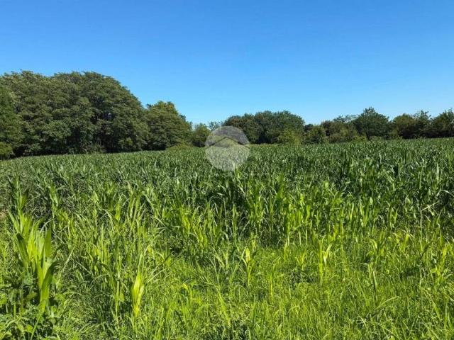 Terreno in vendita a Seregno, Lombardia