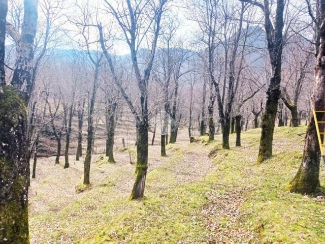 Terreno in vendita a Serino, Campania