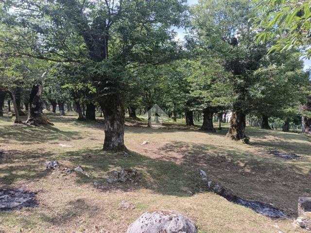 Terreno in vendita a Serino, Campania