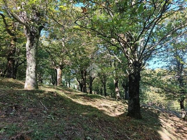 Terreno in vendita a Serino, Campania