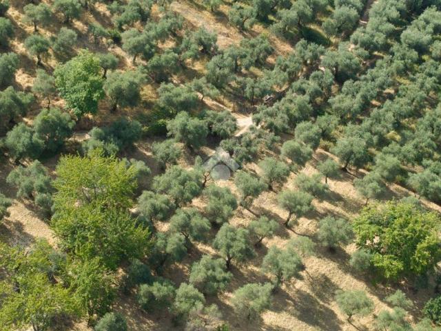Terreno in vendita a Sermoneta, Lazio
