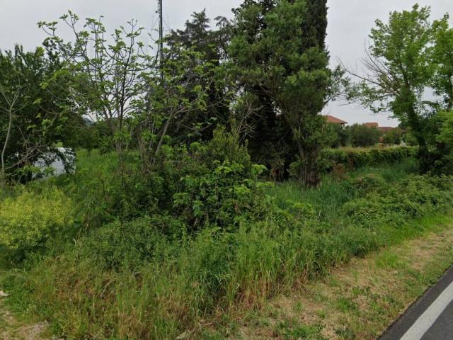 Terreno in vendita a Sermoneta, Lazio