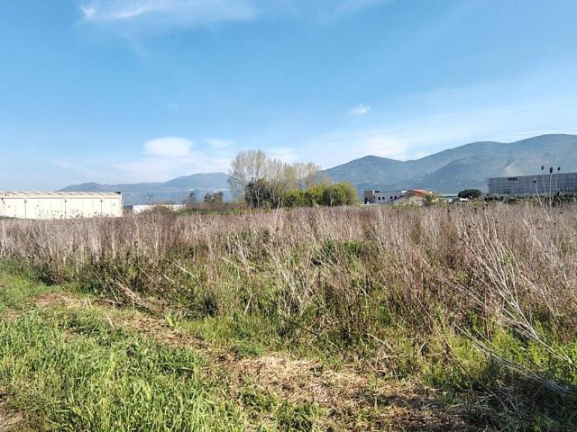 Terreno in vendita a Sermoneta, Lazio
