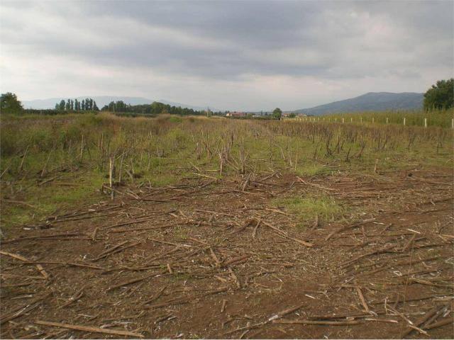Terreno in vendita a Sermoneta, Lazio