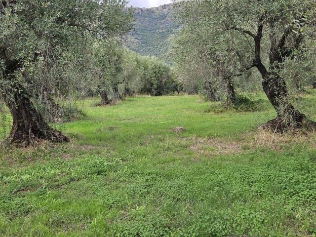Terreno in vendita a Sermoneta, Lazio