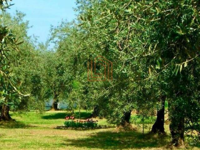 Terreno in vendita a Sermoneta, Lazio