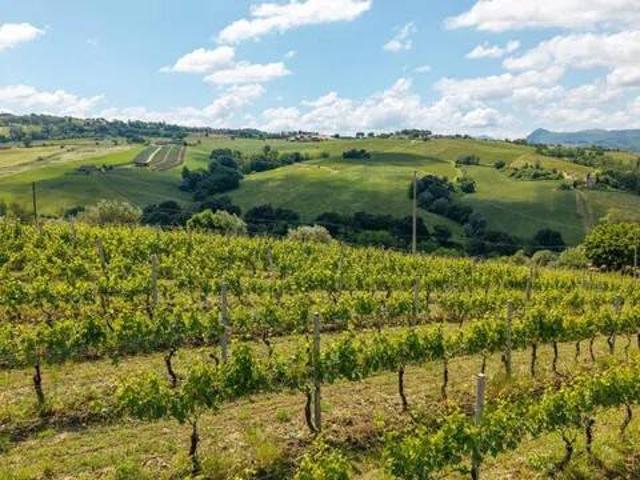 Terreno in vendita a Marche, Ancona