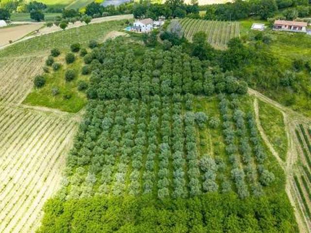 Terreno in vendita a Marche, Ancona