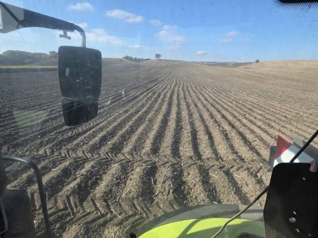 Terreno in vendita a Puglia, Foggia