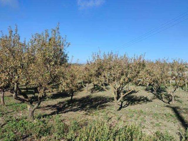 Terreno in vendita a Serradifalco, Sicilia