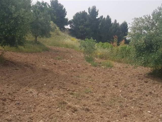 Terreno in vendita a Serradifalco, Sicilia
