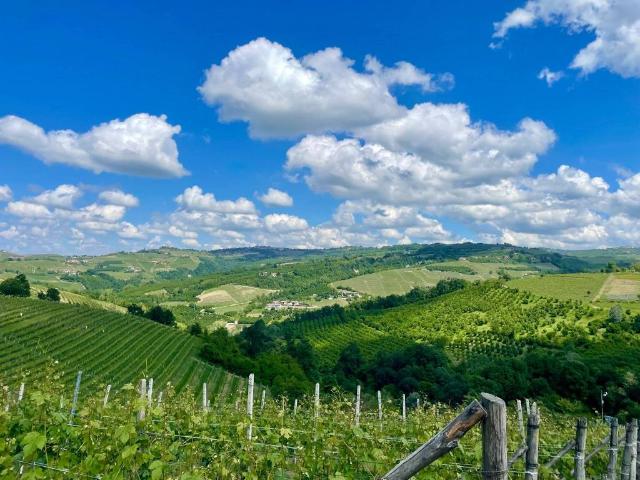 Terreno in vendita a Piemonte, Cuneo