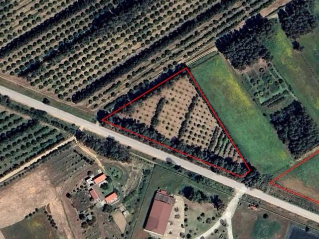 Terreno in vendita a Serramanna, Sardigna/Sardegna