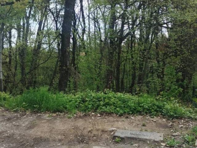 Terreno in vendita a Unione dei comuni del Frignano, Serramazzoni