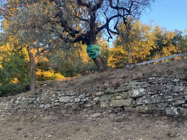Terreno in vendita a Montecorice, Campania