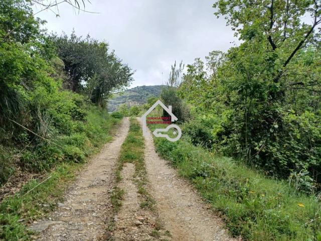 Terreno in vendita a Serramezzana, Campania