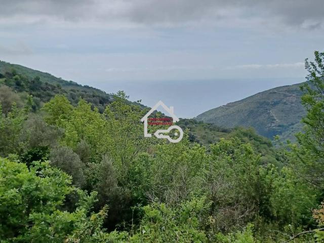 Terreno in vendita a Serramezzana, Campania