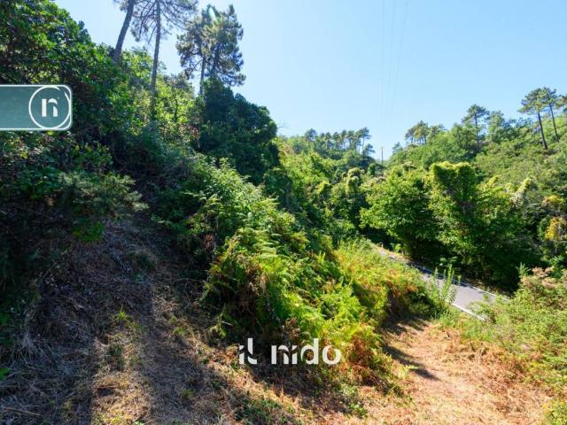 Terreno in vendita a Cantagrillo, Serravalle Pistoiese