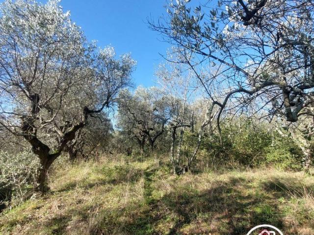 Terreno in vendita a Cantagrillo, Serravalle Pistoiese