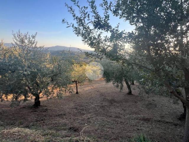 Terreno in vendita a Serrone, Lazio