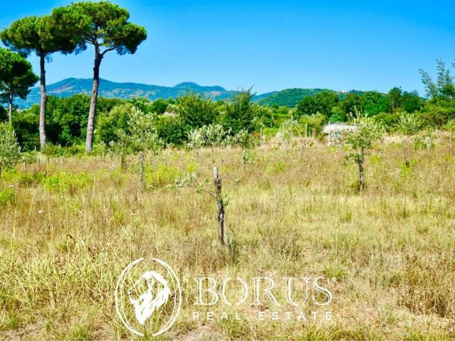 Terreno in vendita a Sessa Aurunca, Campania