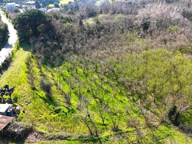 Terreno in vendita a Cascano di Carinola, Sessa Aurunca