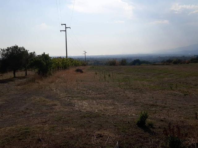 Terreno in vendita a Sessa Aurunca, Campania