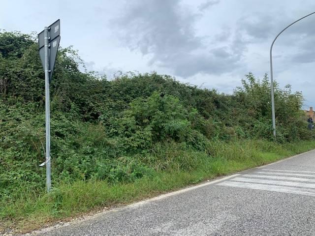 Terreno in vendita a Sessa Aurunca, Campania