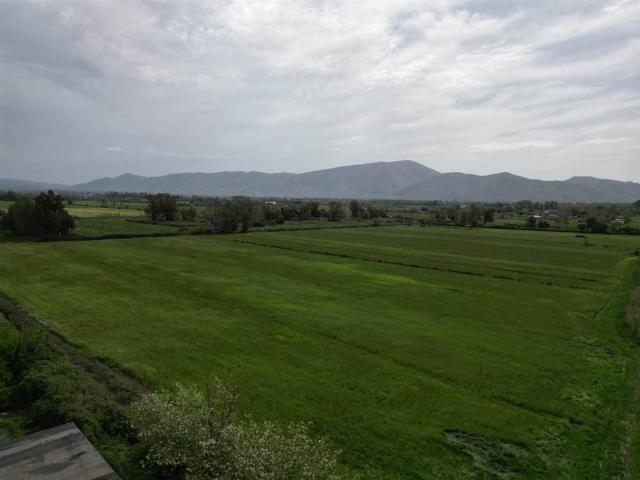 Terreno in vendita a Cellole, Campania