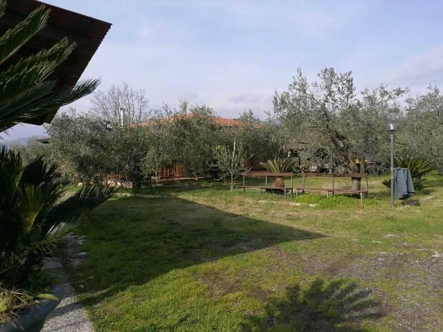 Terreno in vendita a Sessa Aurunca, Campania