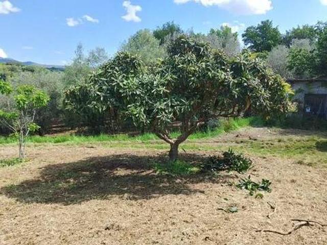 Terreno in vendita a Corbara, Sessa Aurunca